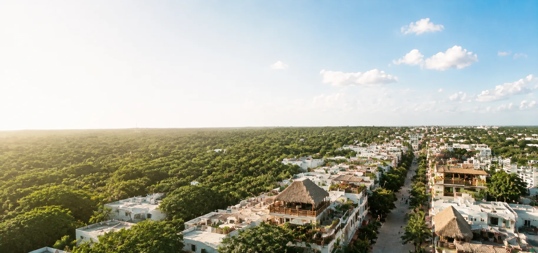 Tulum town panorama and tropical vegetation